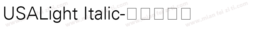 USALight Italic字体转换
